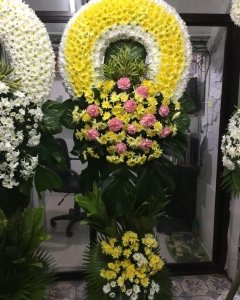 Yellow & White Sympathy