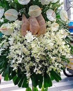 Funeral_Warm Support