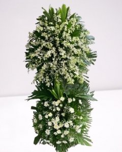 We Remember The Moments